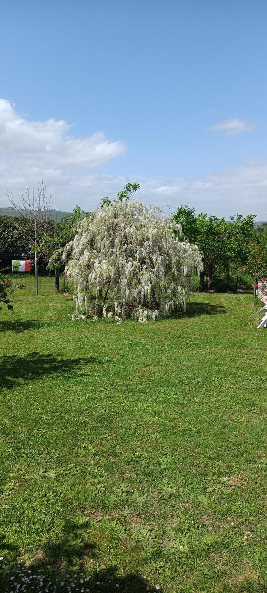 菲亚诺罗马诺Colle Perazzoni公寓 外观 照片