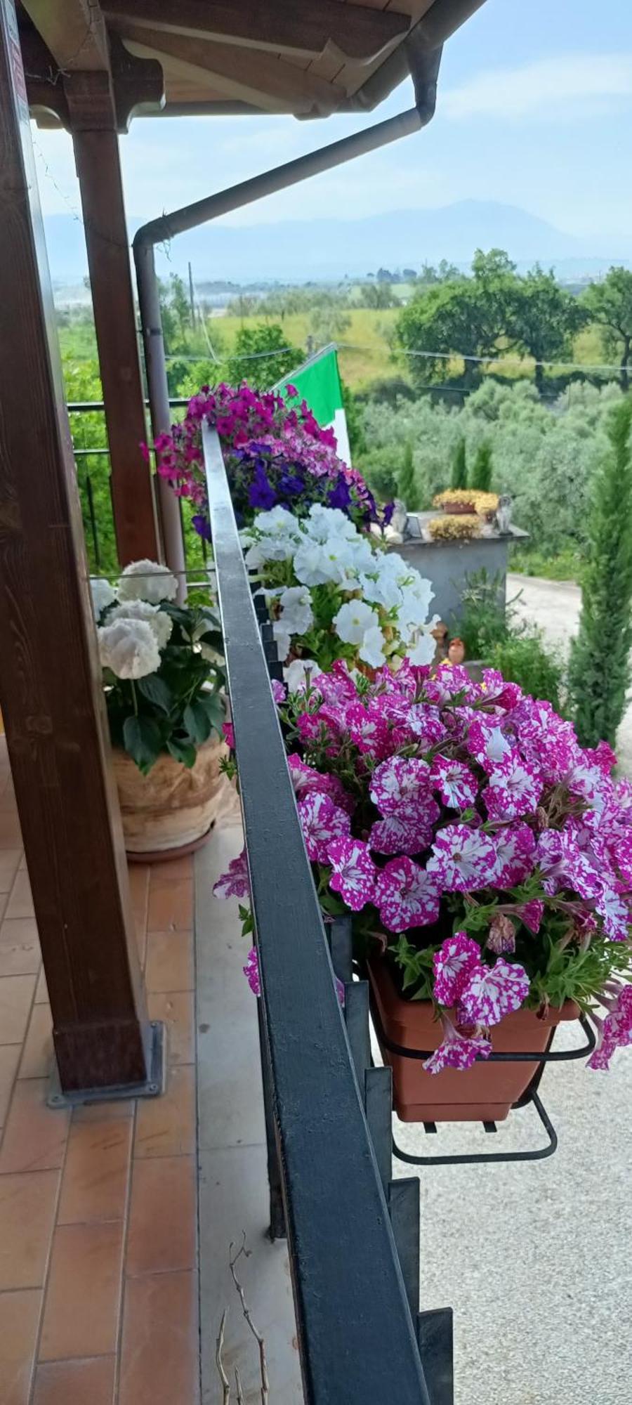 菲亚诺罗马诺Colle Perazzoni公寓 外观 照片